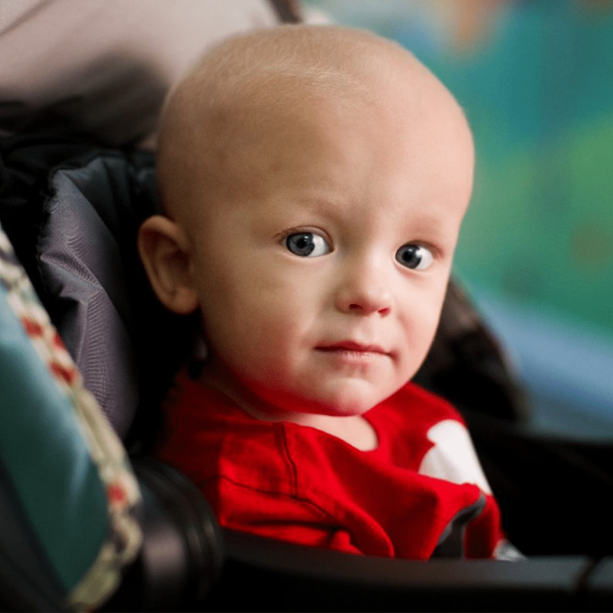 a child in a red shirt is sitting in a stroller